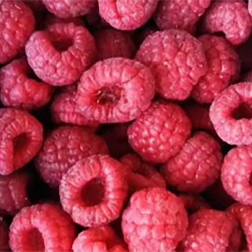 速冻红树莓整粒
